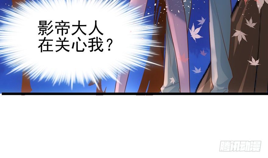 千里撸猫67