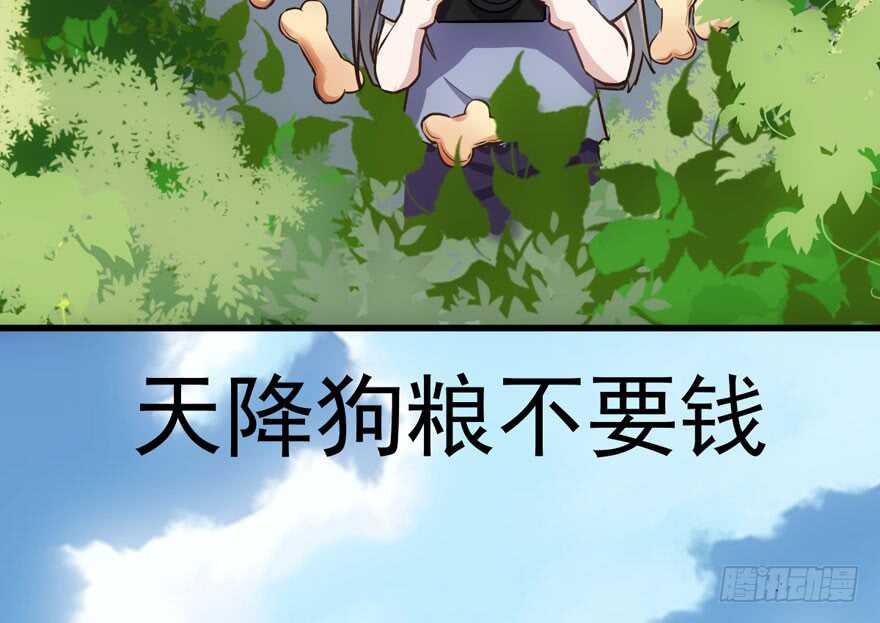 求婚成功狗粮管够43