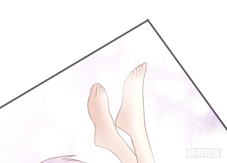猫的报恩92