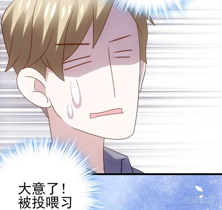 关于她……53