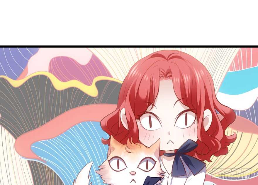 传说中的肖宝贝81