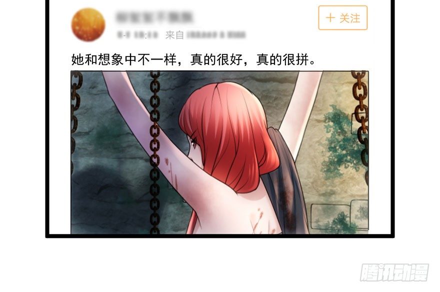铲屎官的自我修养17