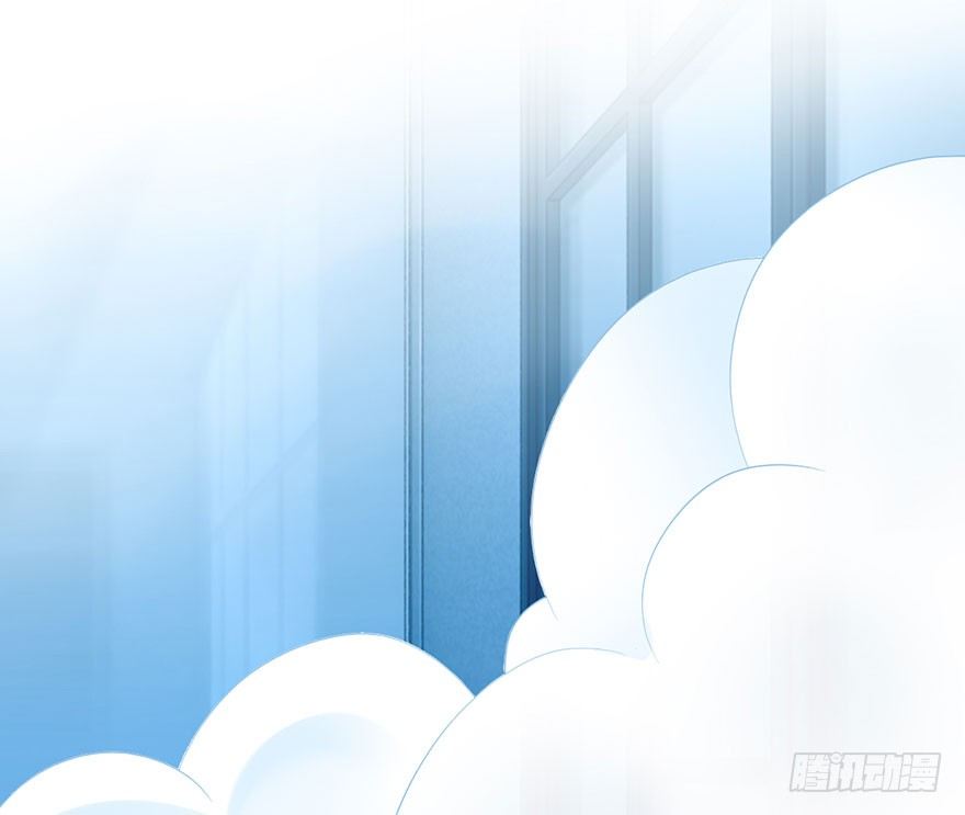 铲屎官的自我修养95