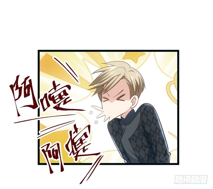 肖简与猫33