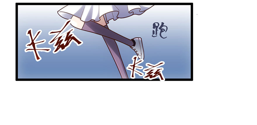 千里撸猫28