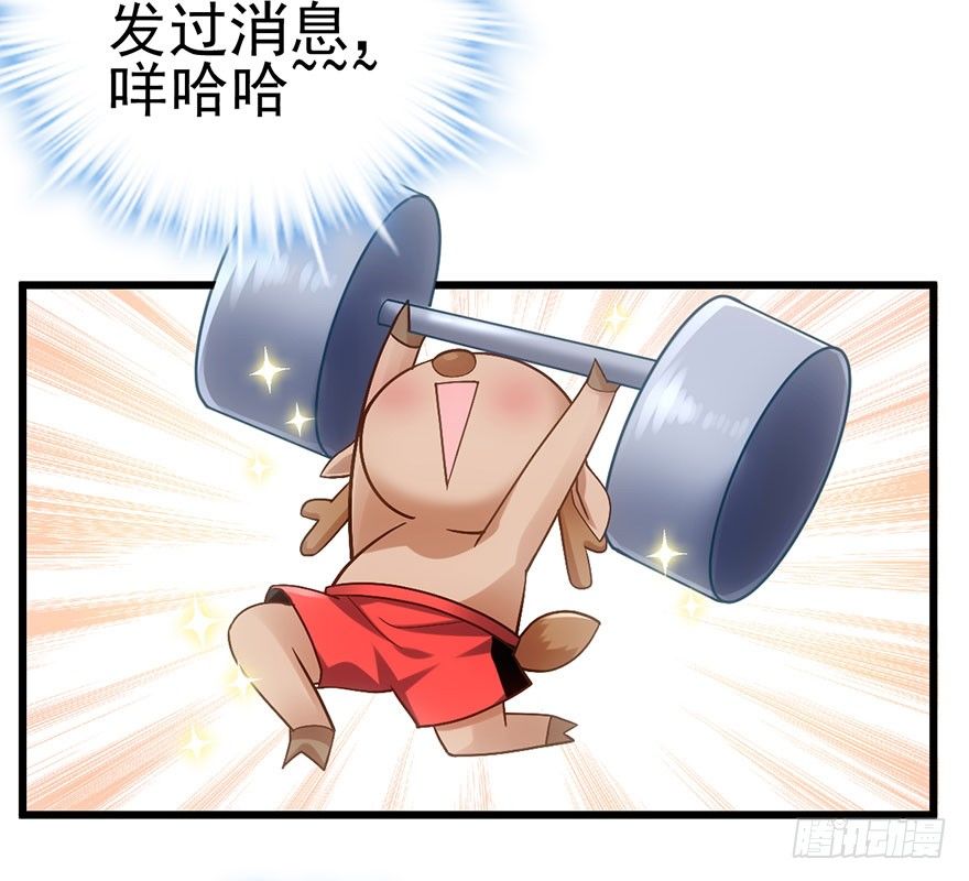 杜绝偷猫贼45