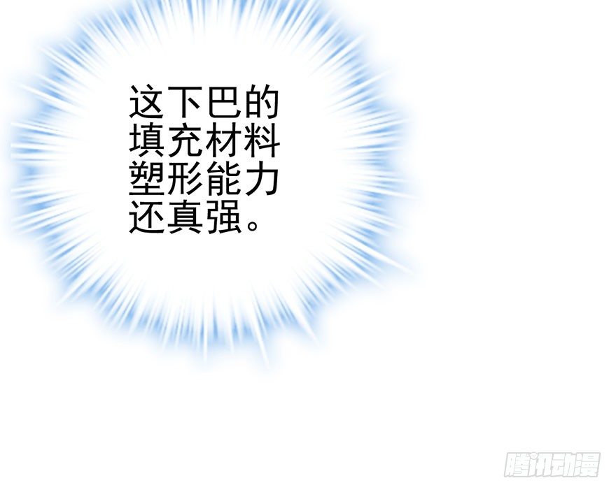 猫的报恩31