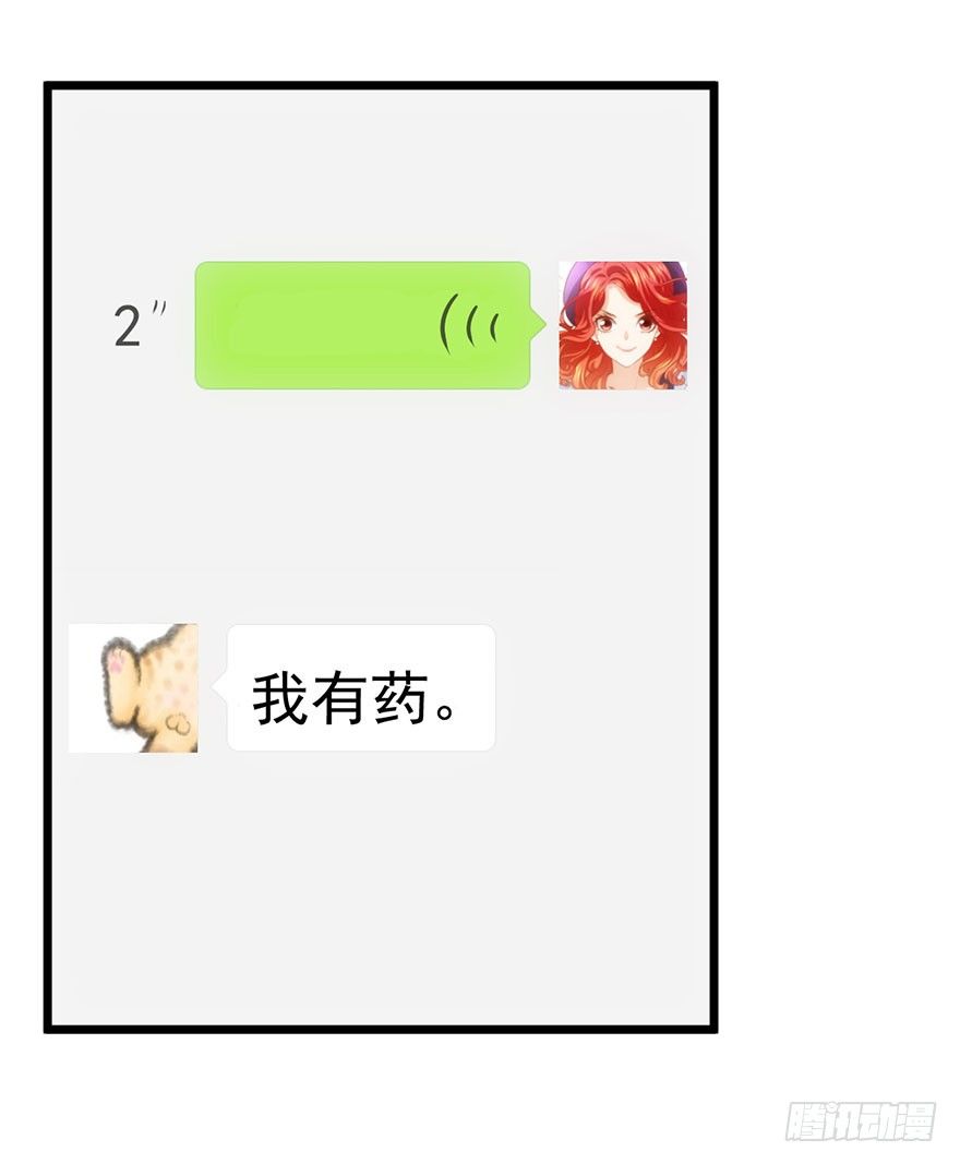 铲屎官的自我修养39