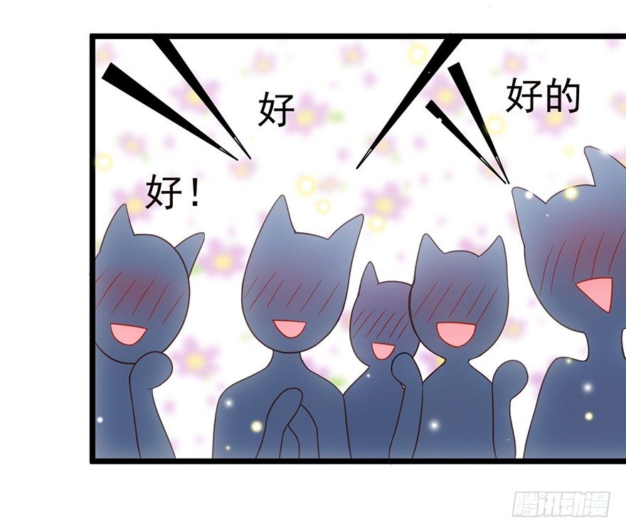铲屎官的自我修养62