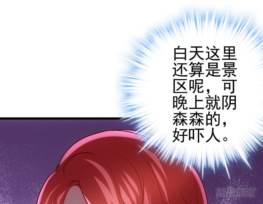 千里撸猫5