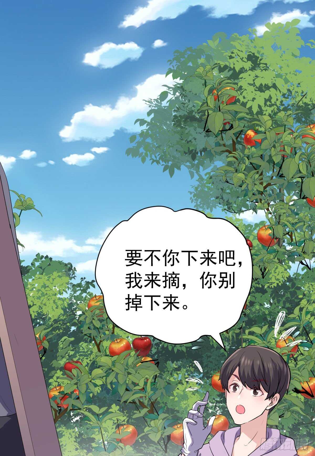 猪队友30