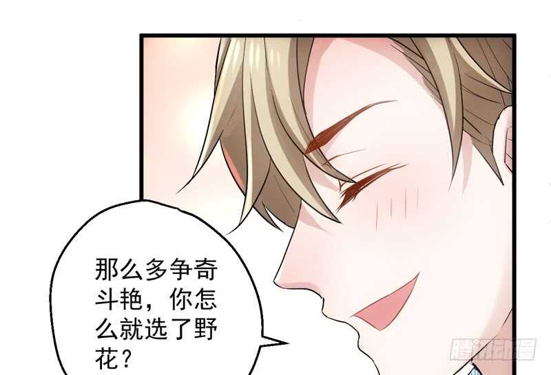 豪门鸿门宴29