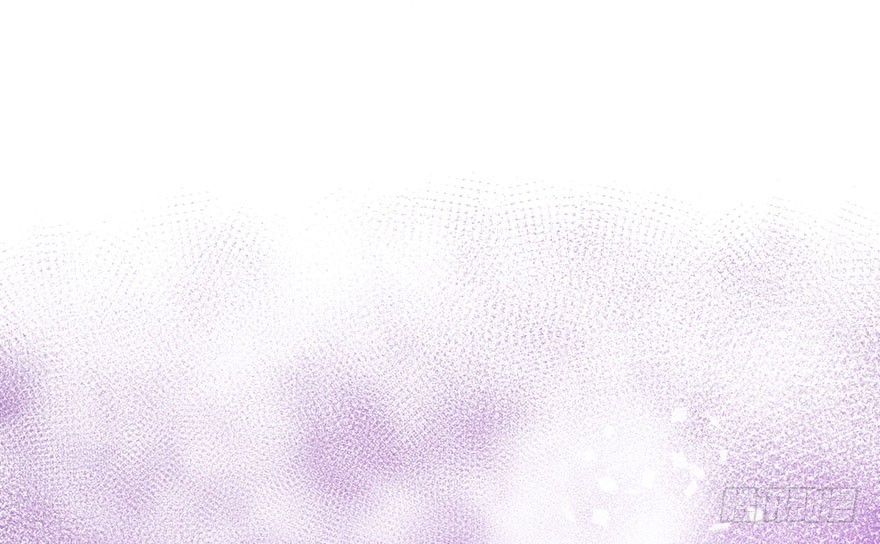 猫的报恩72