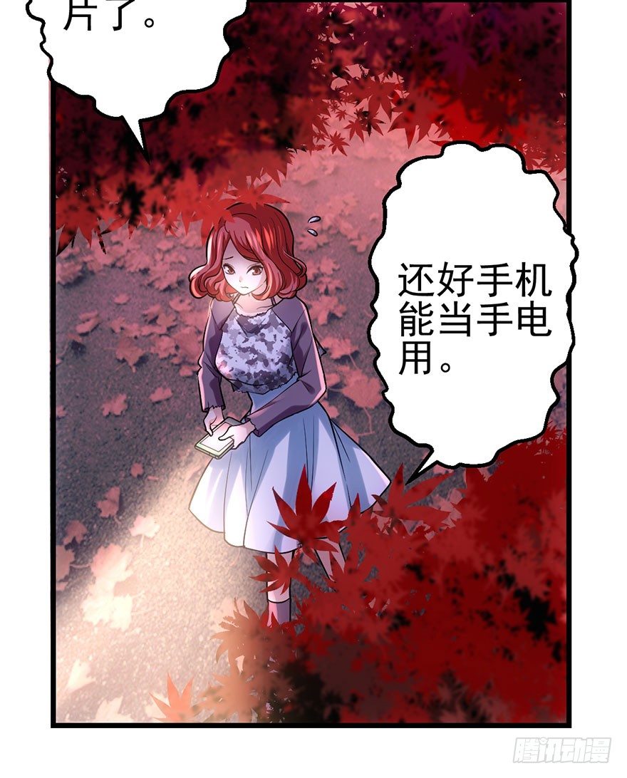 千里撸猫8