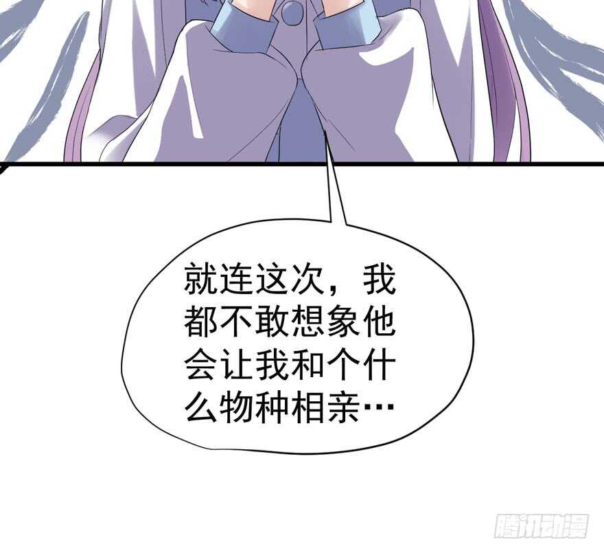 贵族的相亲24