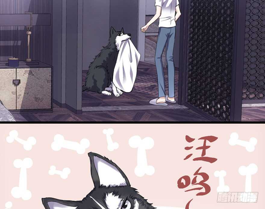 全员盖章91