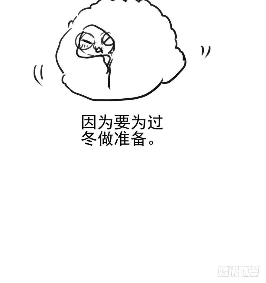 她要回来了104