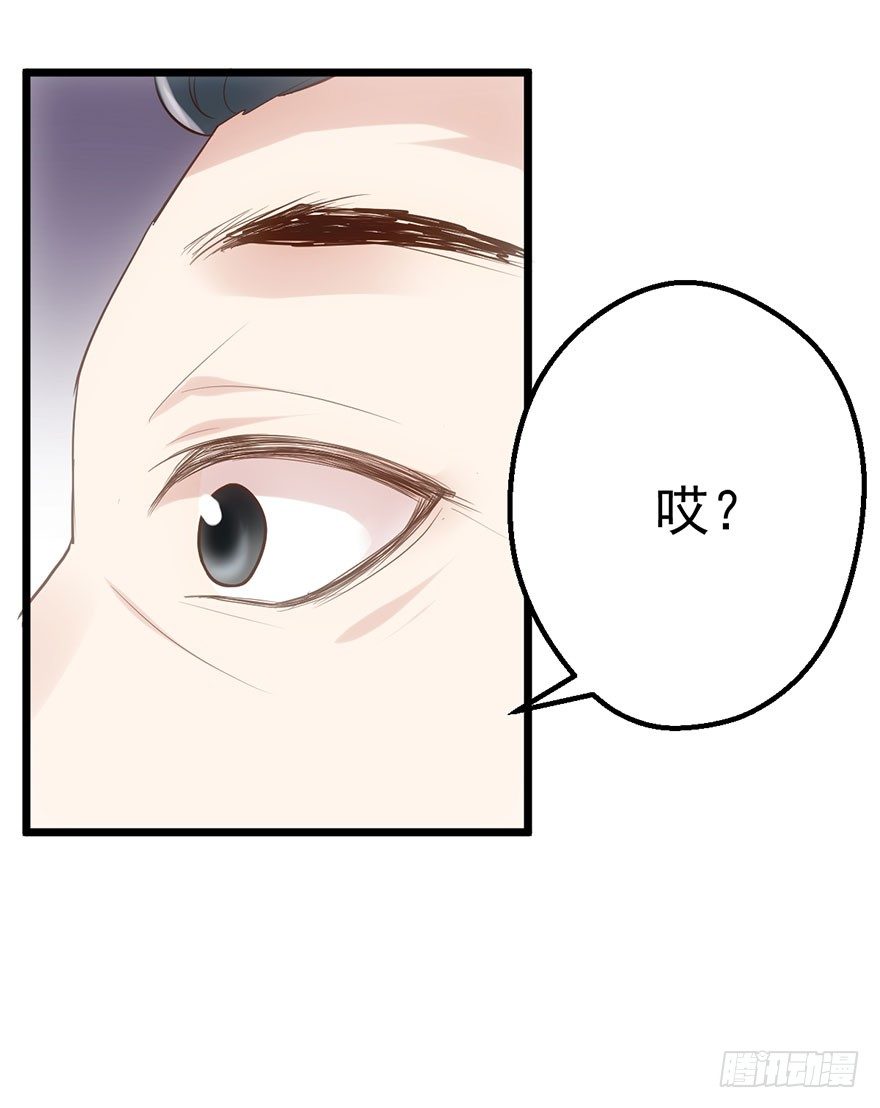 猫的报恩26