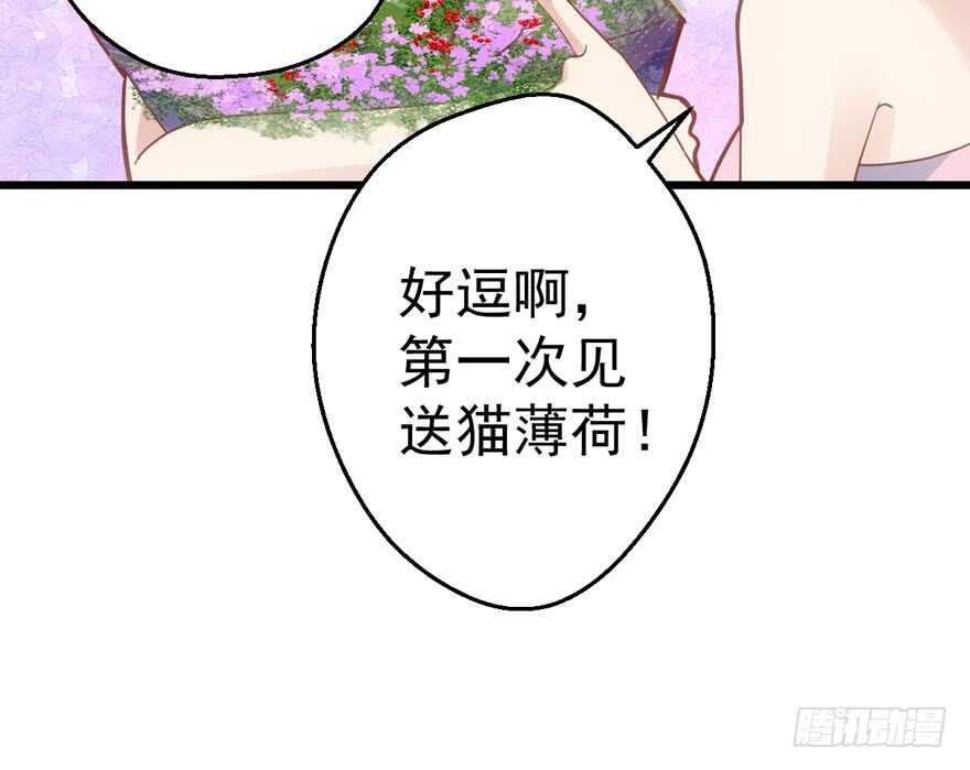 有惊无险首映礼86
