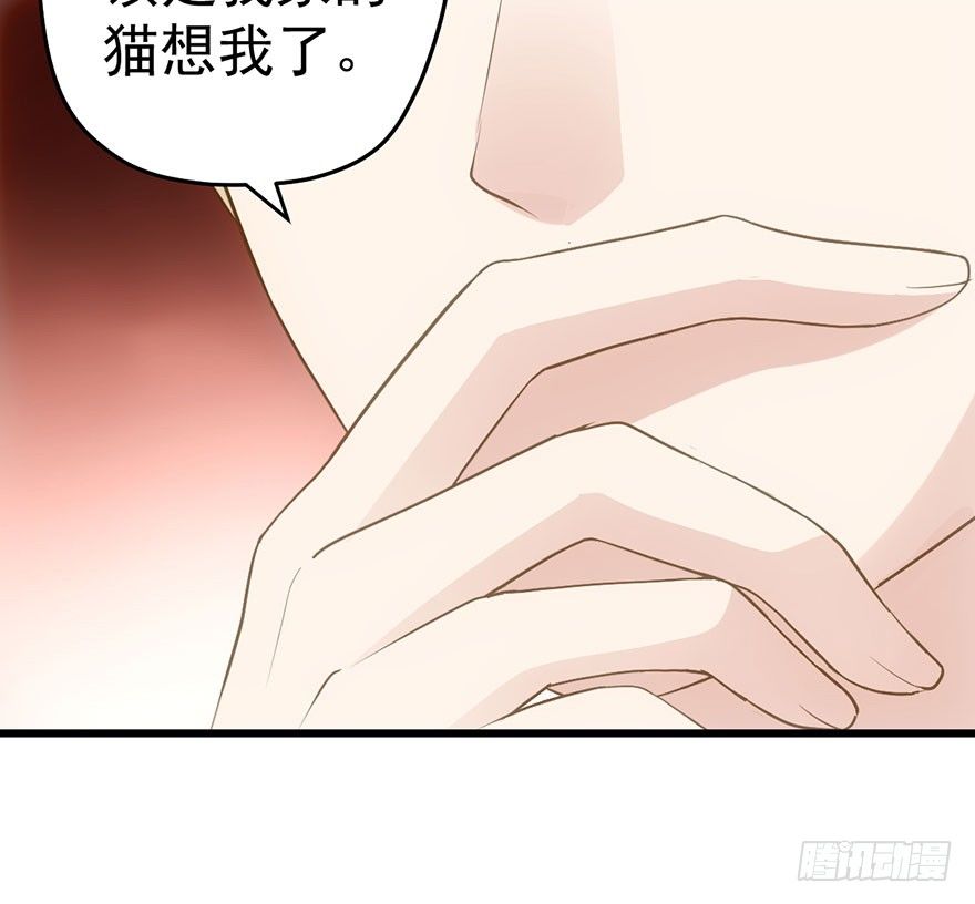 杜绝偷猫贼60