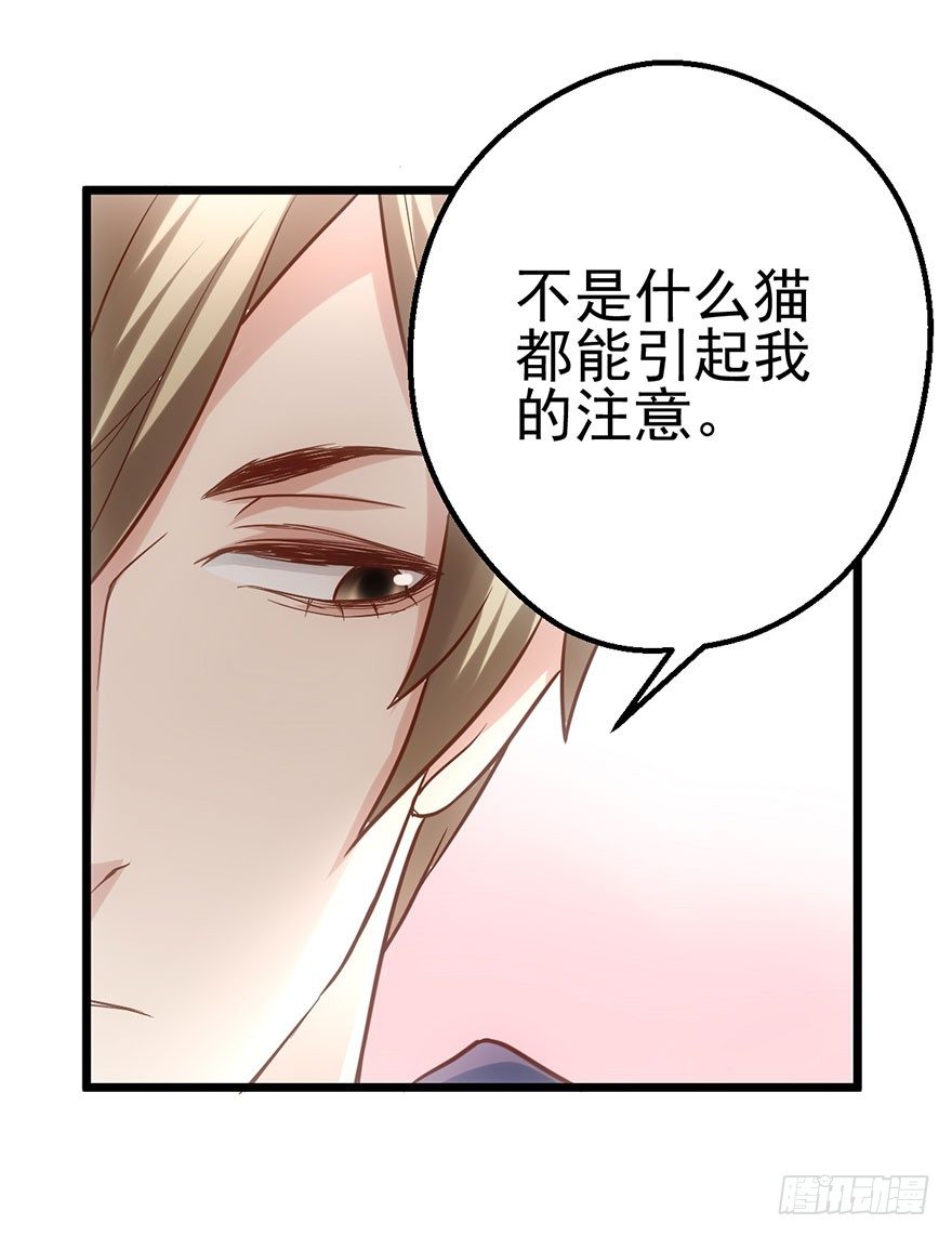 铲屎官的自我修养69