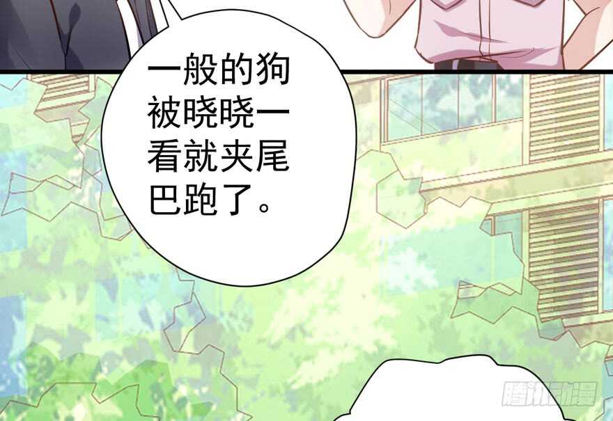 猛虎撒娇只为哥76