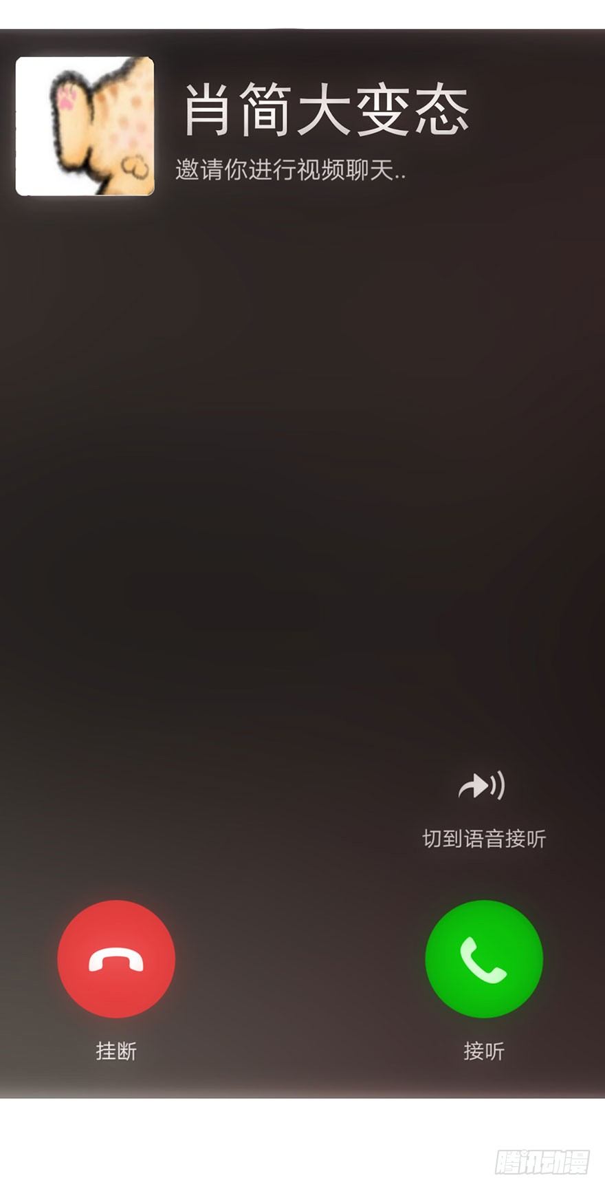 铲屎官的自我修养118
