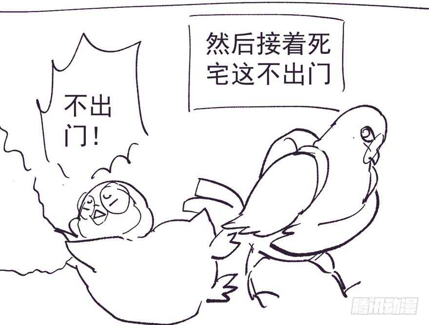 新手直播104