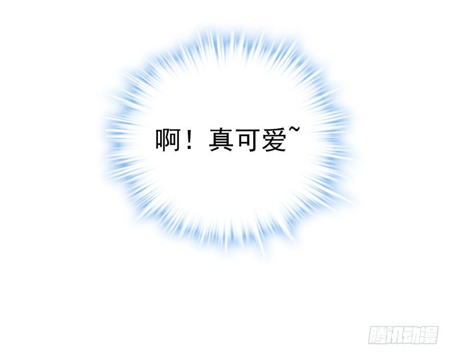 杜绝偷猫贼63