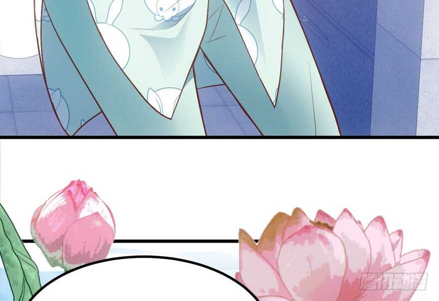 莲花与莲藕46