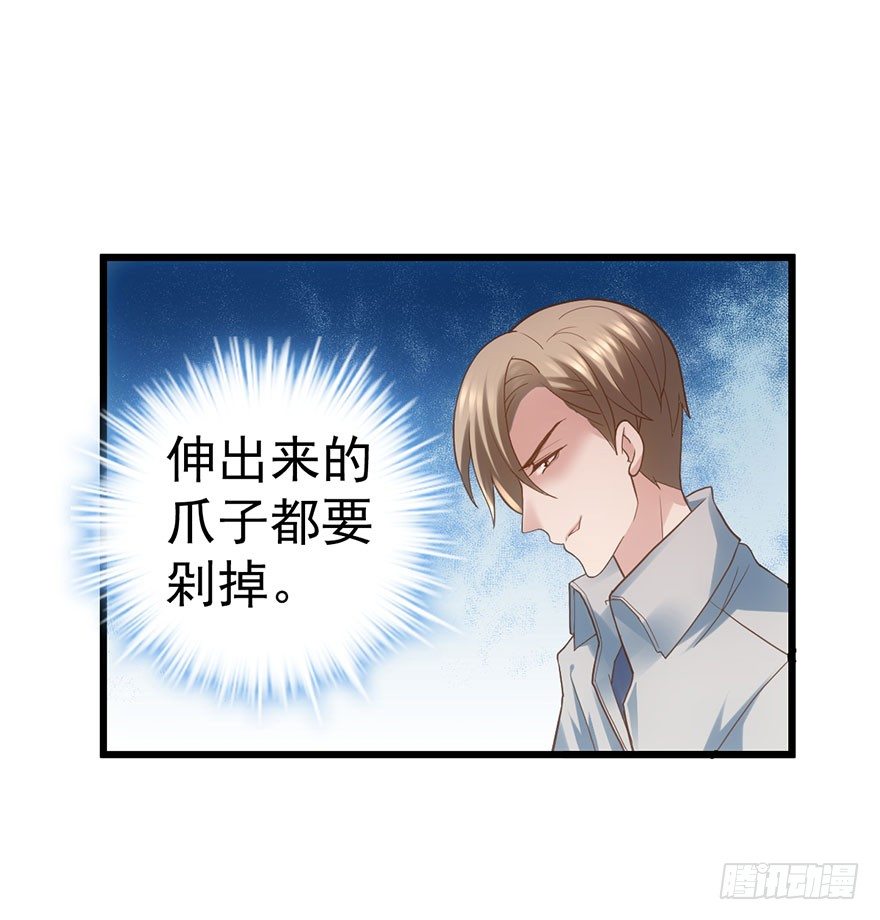 杜绝偷猫贼2