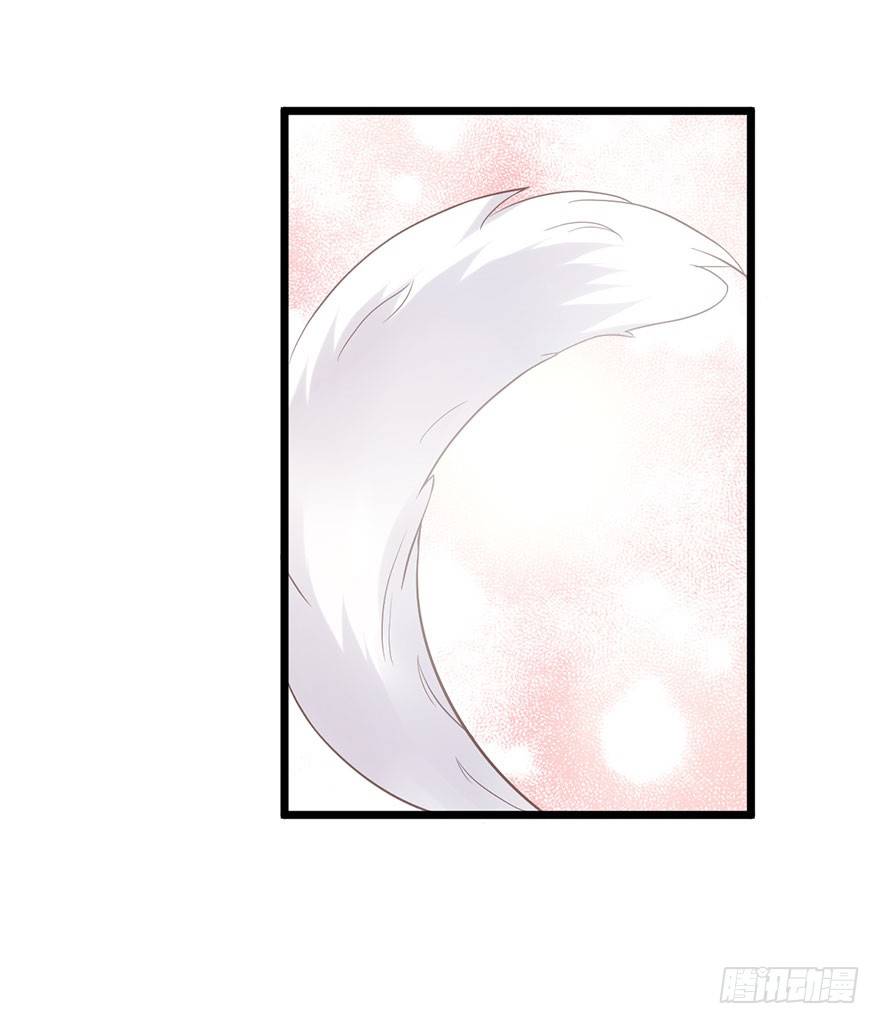 猫的报恩89