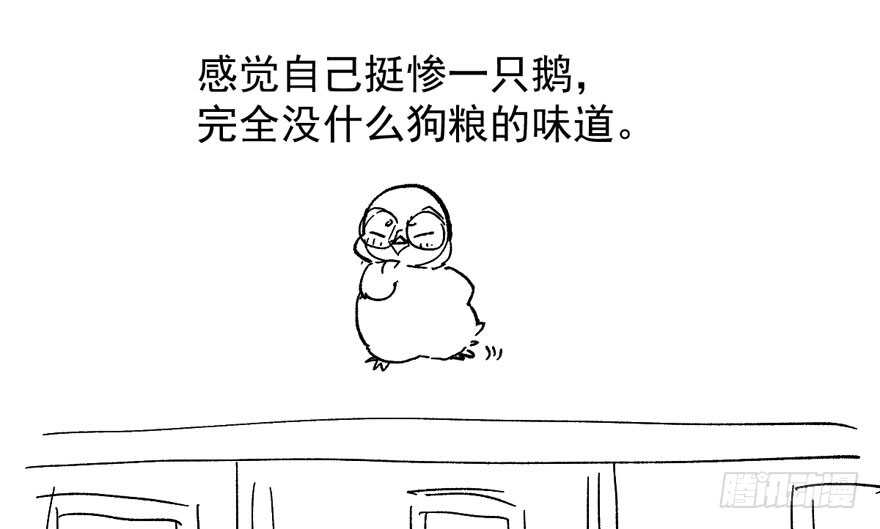 女星的红毯对决129