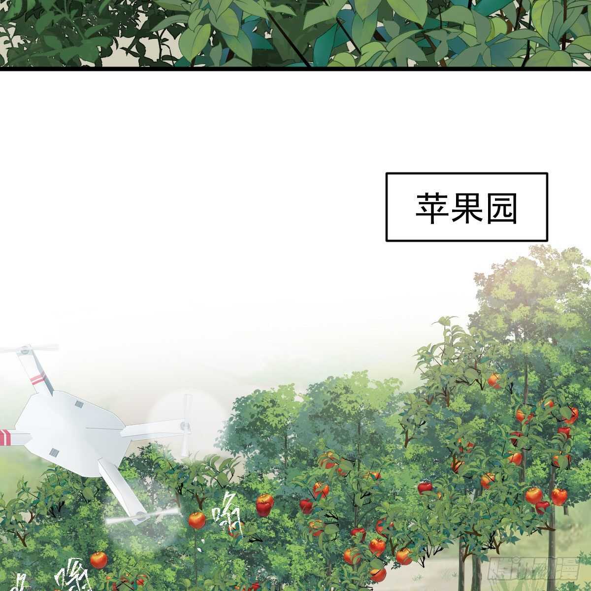猪队友27