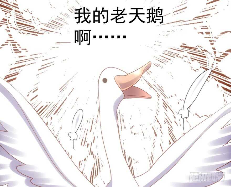 男子气概我sandy姐48