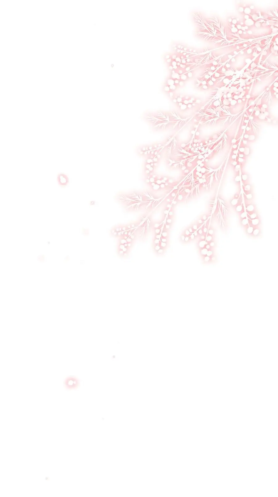 019 不说了好吗，卯卯47