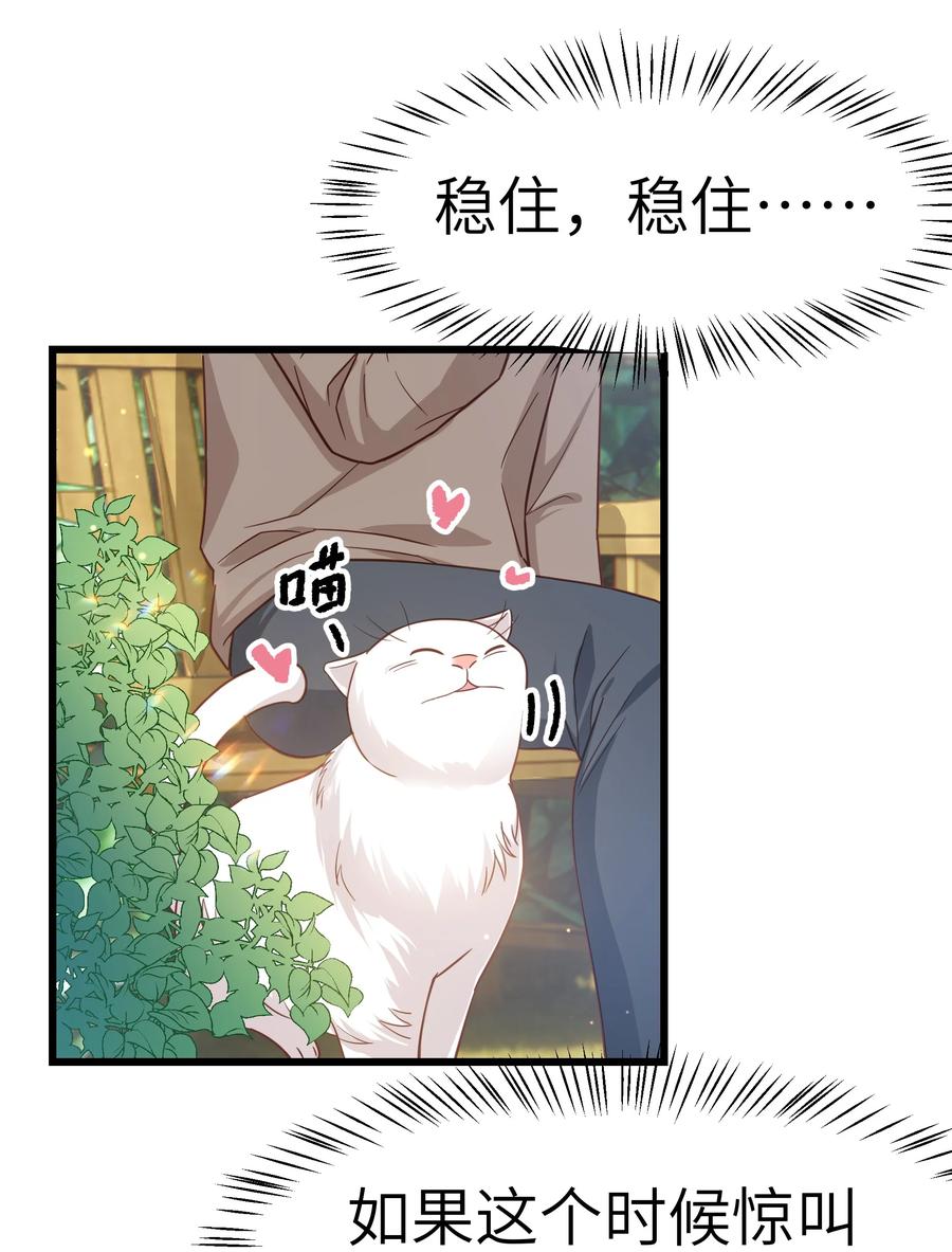 052 都听你的！4