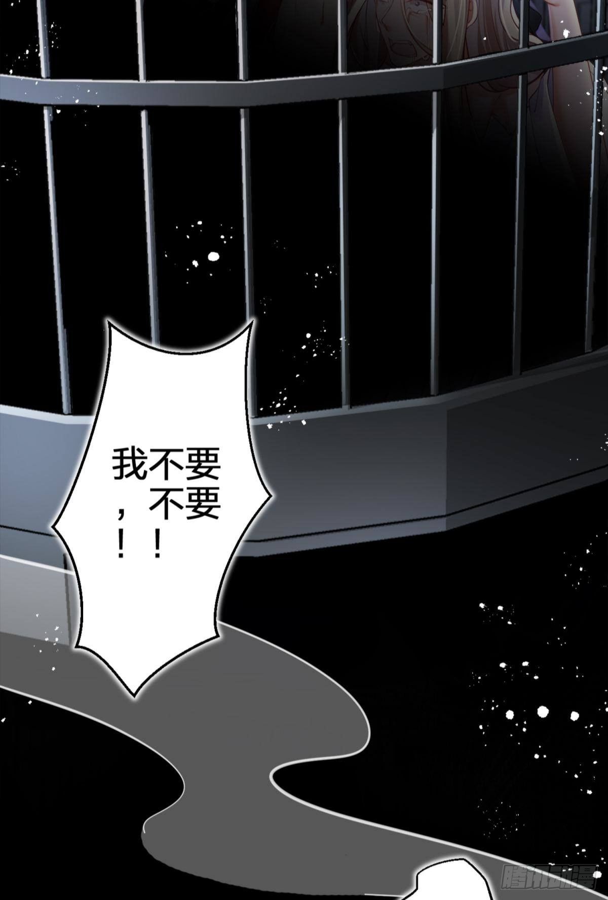 笼中的金丝雀29