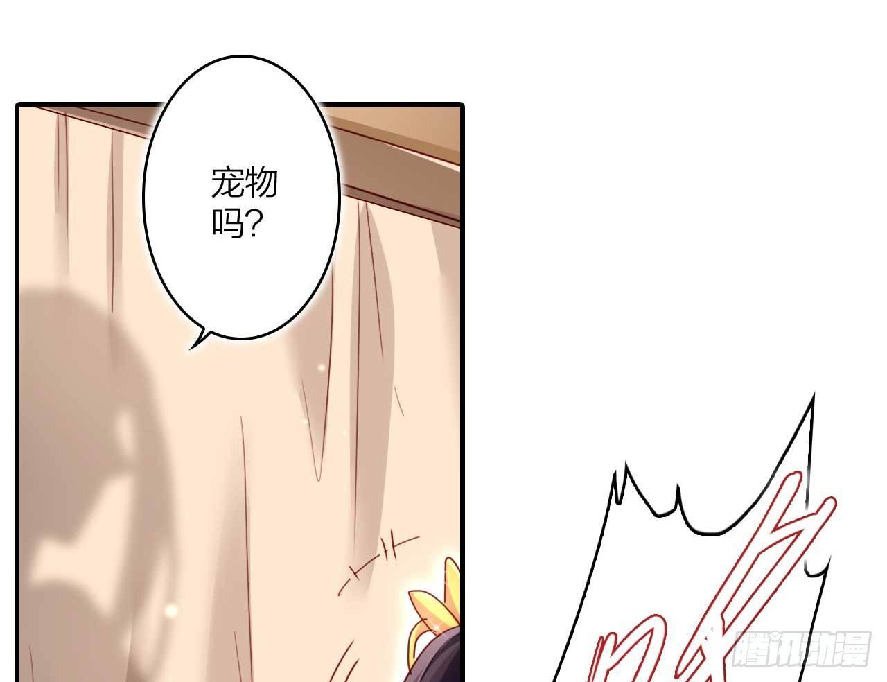 欠调教的宠物8