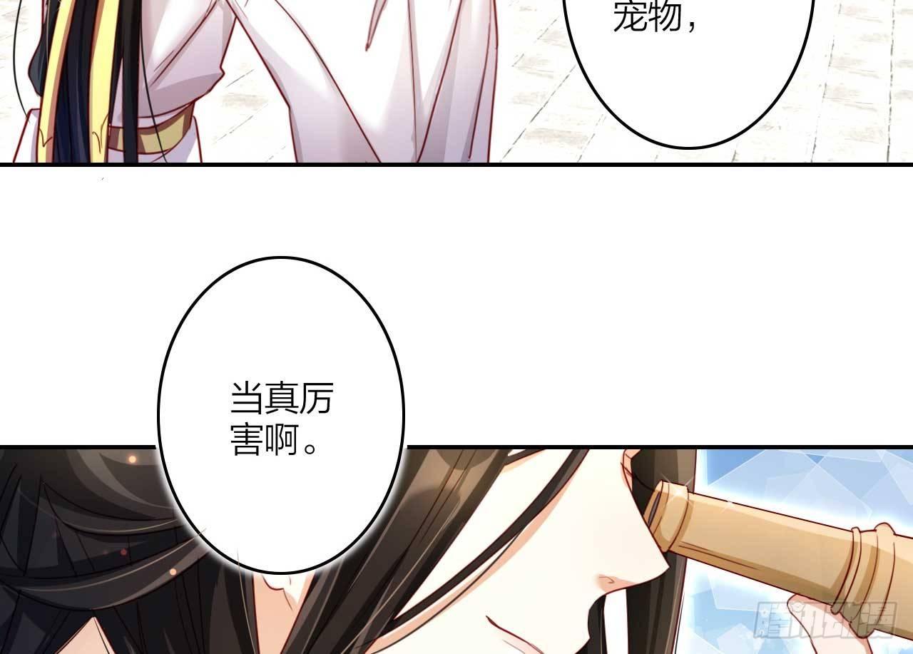 欠调教的宠物53
