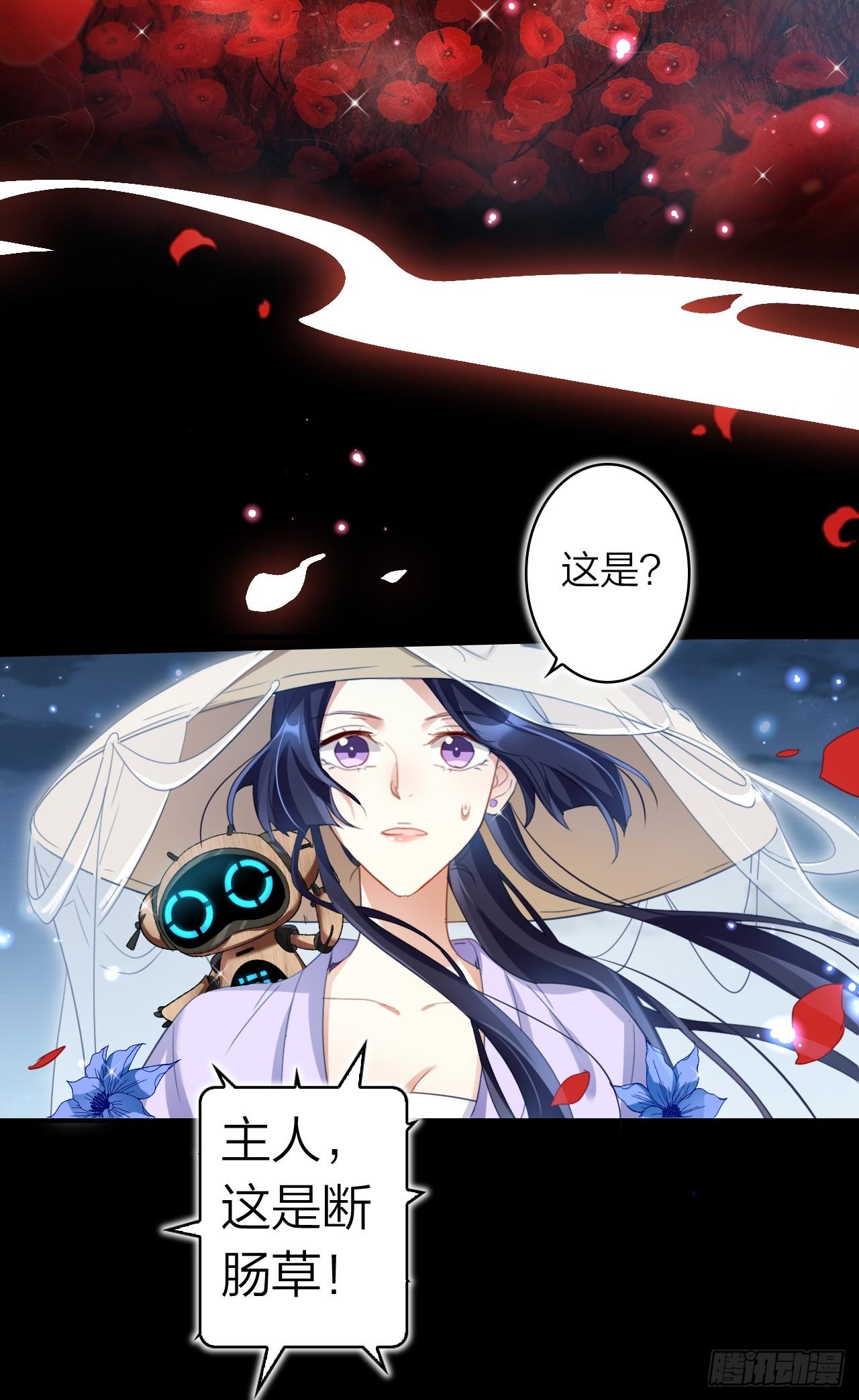 美男计6