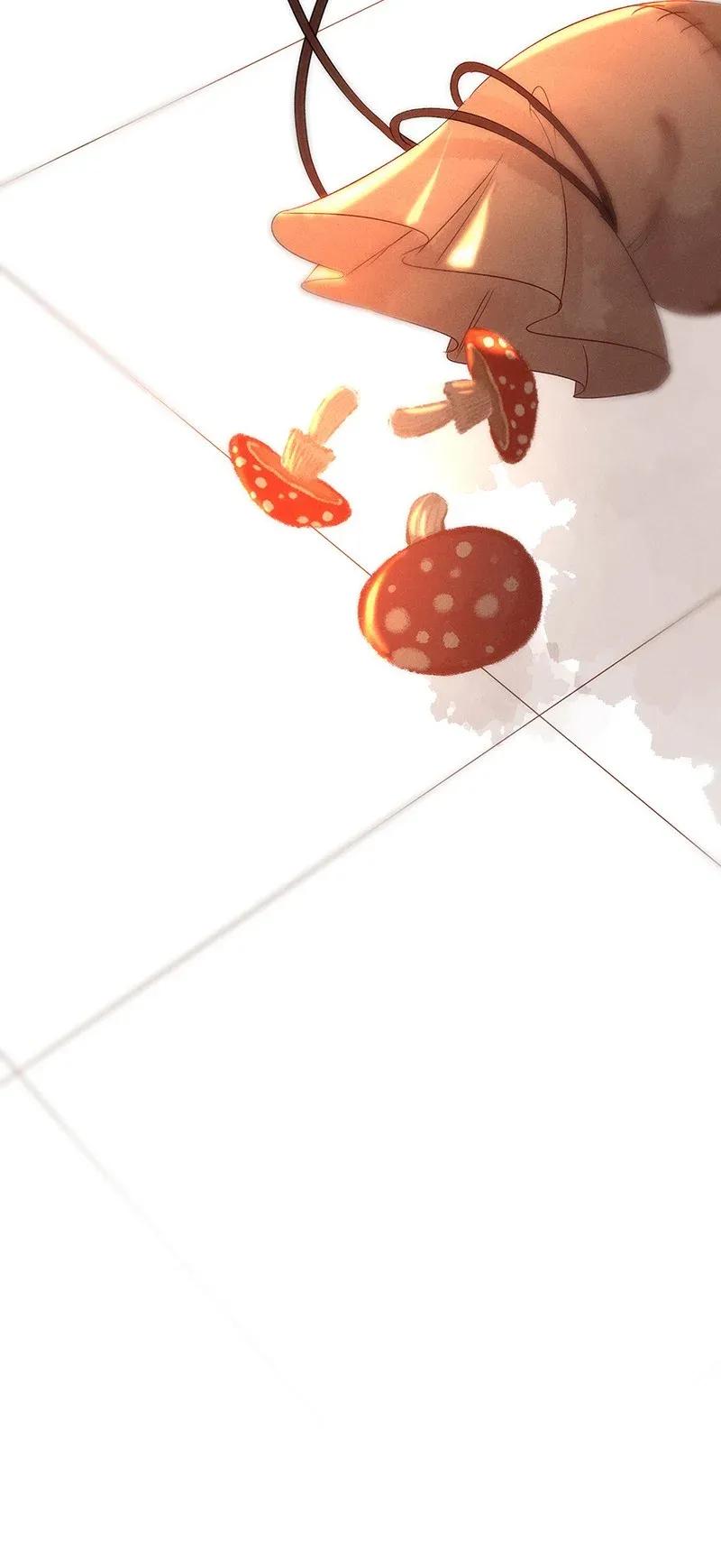 52 花霜篇841