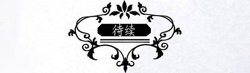 18 舒曼篇455