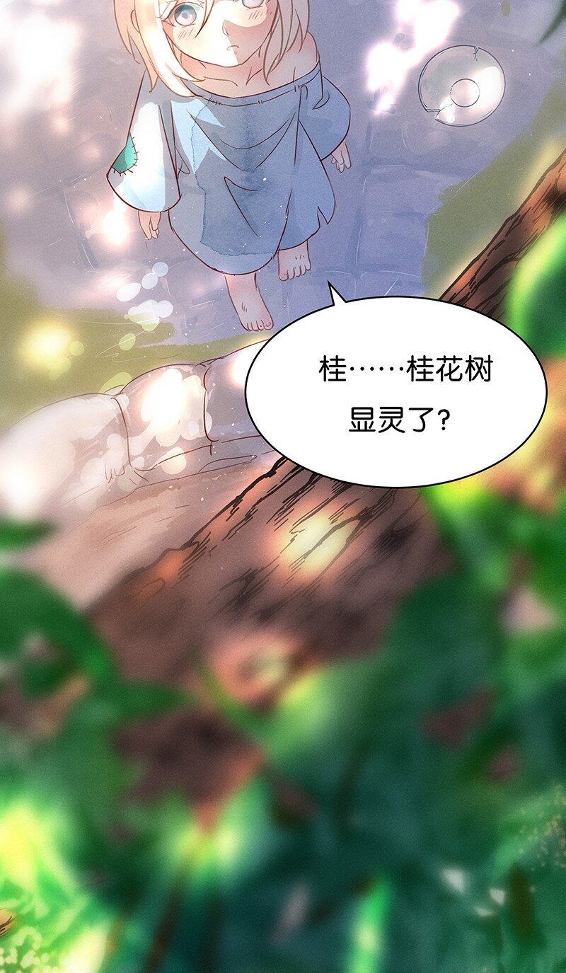 25 许钦原篇17