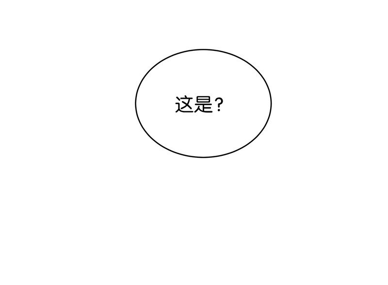 16 舒曼篇247