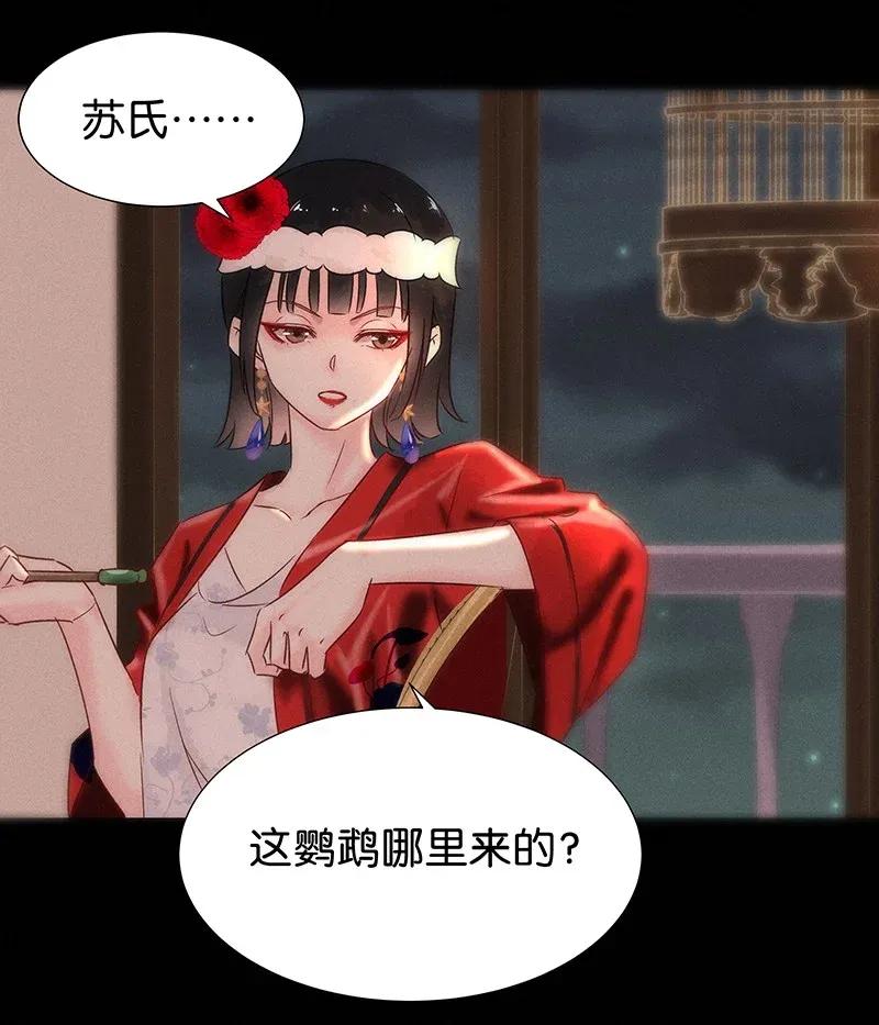 50 花霜篇638