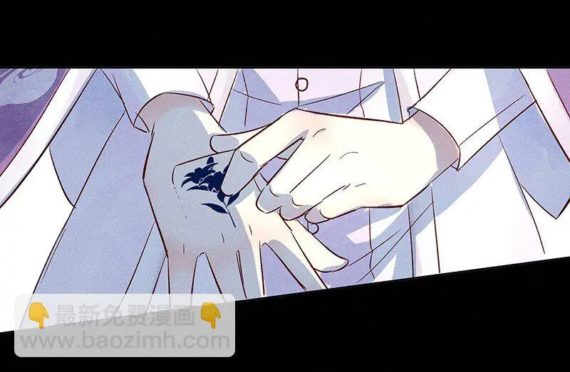 19 舒曼篇531