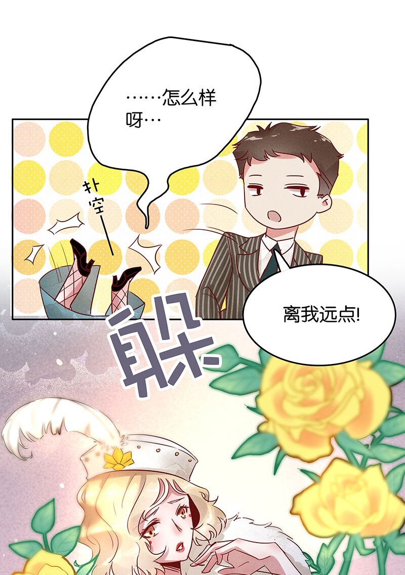 8 玫瑰篇242