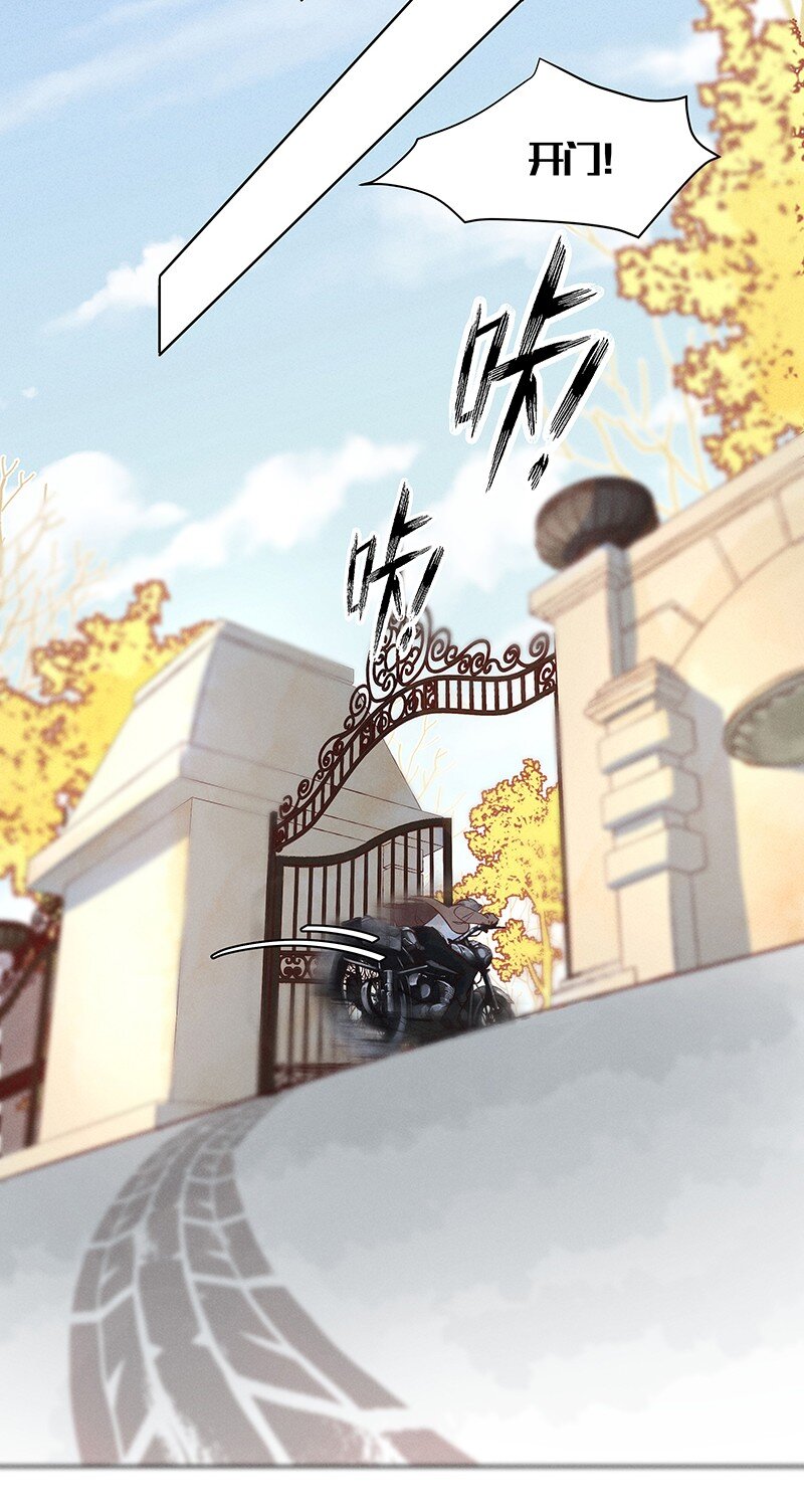 19 舒曼篇520