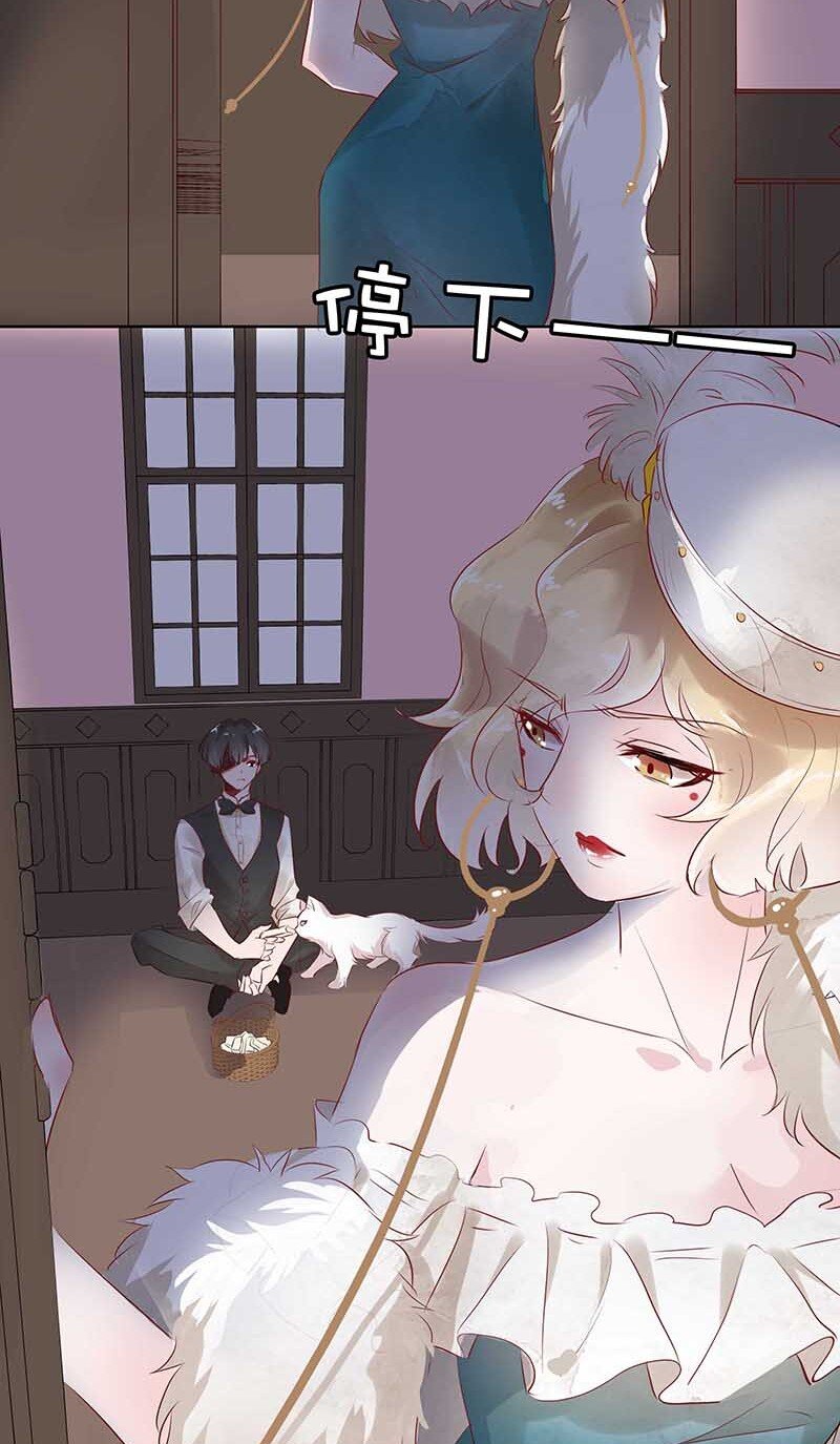 11 玫瑰篇551